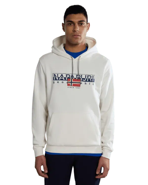 image_Napapijri - Sweat à Capuche Aylmer Homme