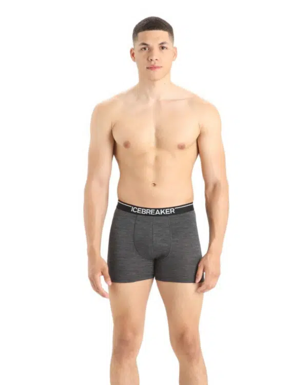 image_Icebreaker - Boxer Anatomica Homme